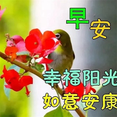 最新早上好图片大全，唤醒美好一天的温馨问候与祝福